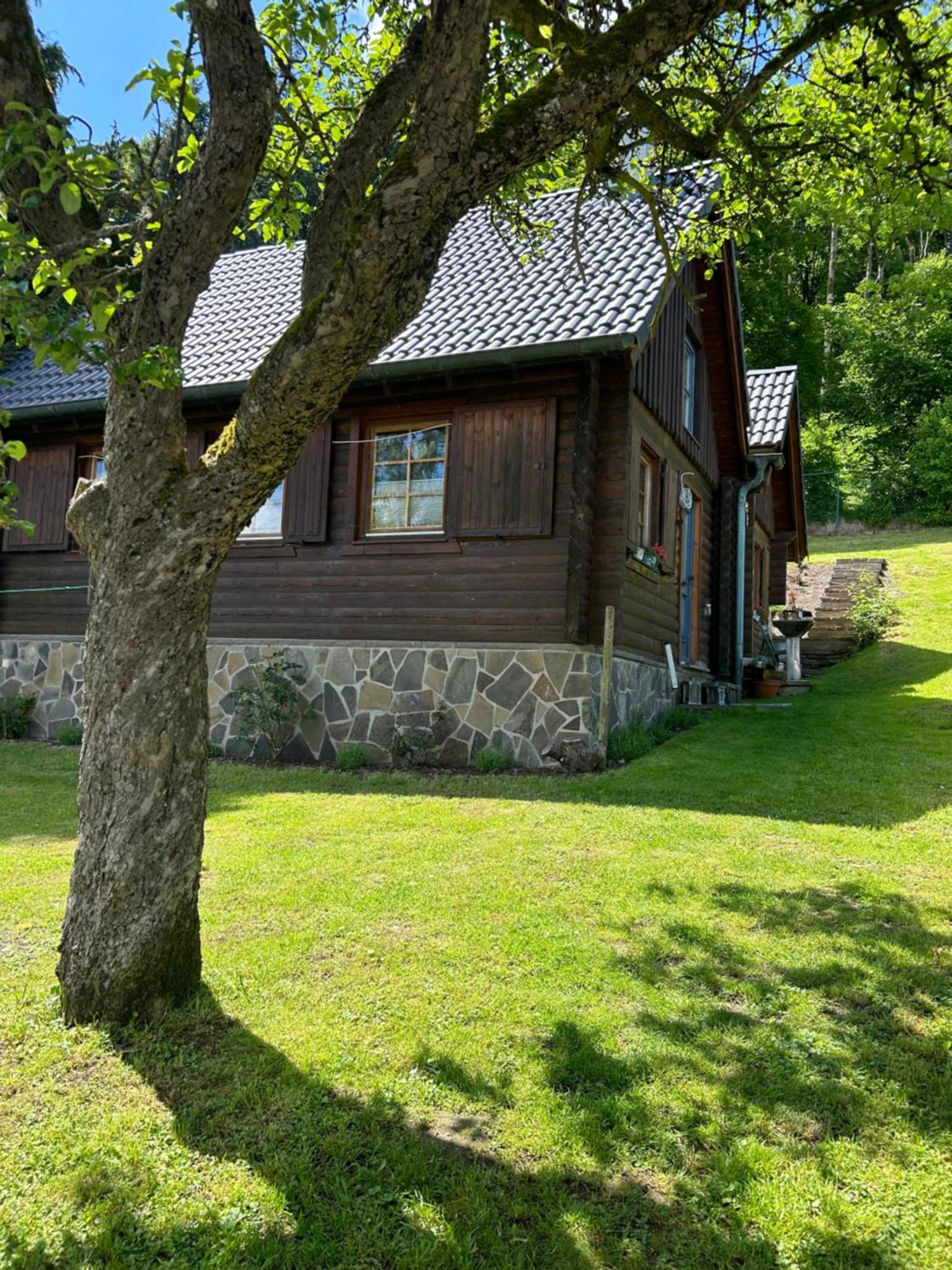 Blockhuette Engeln-Eifel Villa Kempenich ภายนอก รูปภาพ